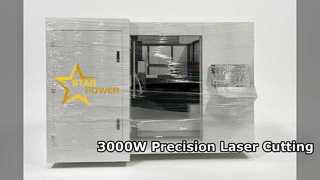 Corte de metal de alta precisão do cortador a laser de fibra 3000W