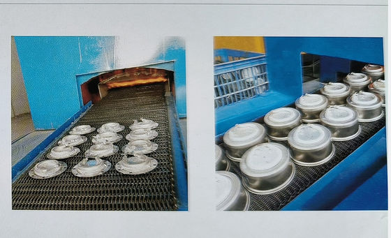 Forno Elétrico Progressivo e Económico para o Anilhamento Brilhante de Aço Inoxidável